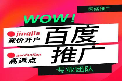 品牌信息流广告推广案例解析